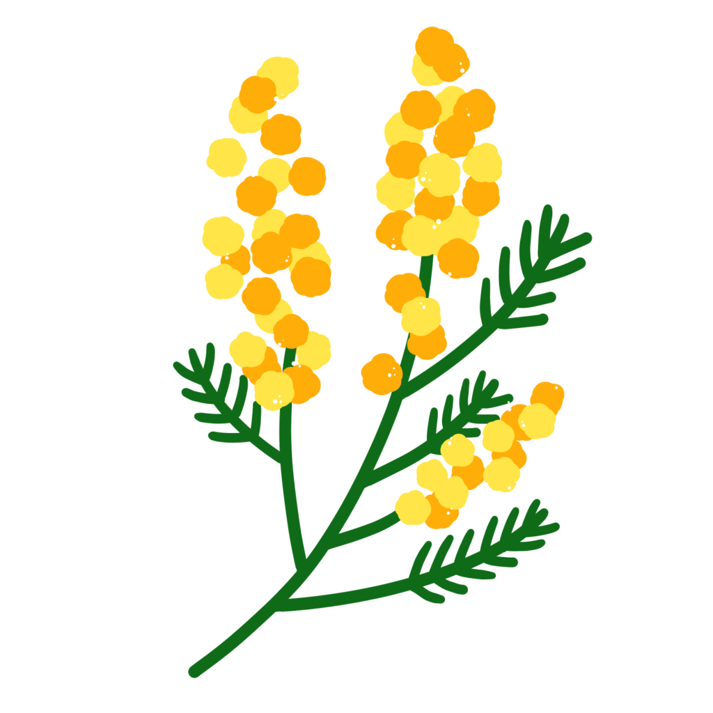 みもざの花
